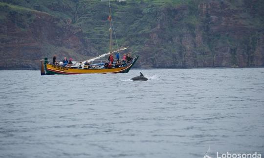 Excursion d'observation des baleines sur « Ribeira Brava »