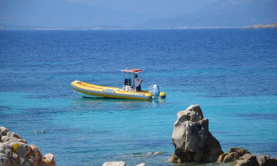 Cursos RIB de mergulho, snokeling e PADI em Golfo Aranci