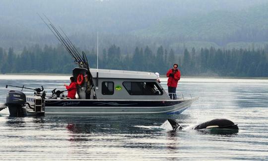 Carta de surf em Hoonah, Alasca