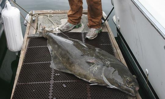 Carta de surf em Hoonah, Alasca