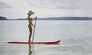 Stand Up Paddleboard Rental in Rovinj, Croatia