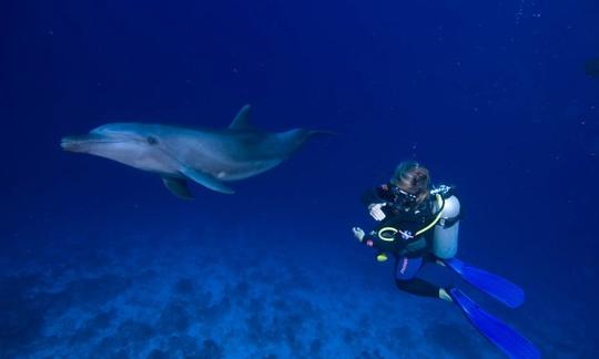 Excursions de plongée sous-marine à Avatoru, Polynésie française