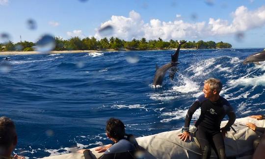 Excursions de plongée sous-marine à Avatoru, Polynésie française