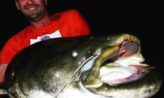 Passeios de barco de pesca Big Catfish nos rios da França