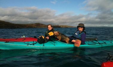 Aventure côtière en kayak à Skibbereen, West Cork, Irlande