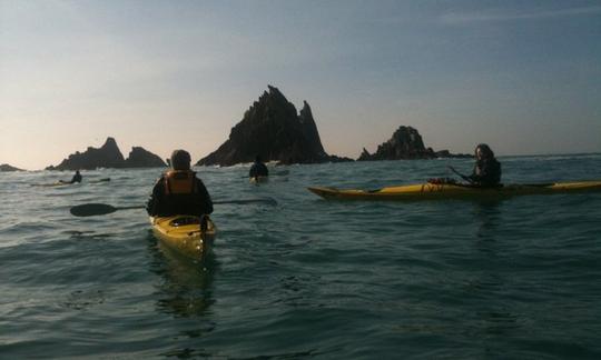 Safari en kayak dans l'ouest de Cork