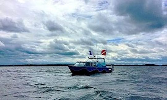 25' Pontoon "Silent Diver" Diving Trips in Brockville, Canada