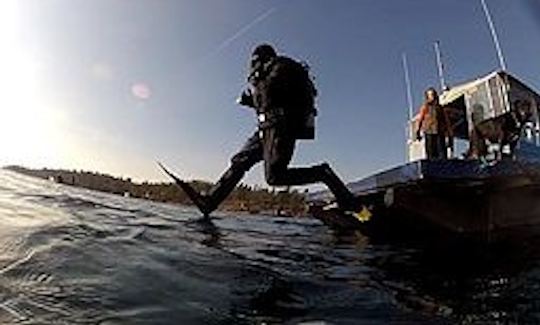 25' Pontoon "Silent Diver" Diving Trips in Brockville, Canada