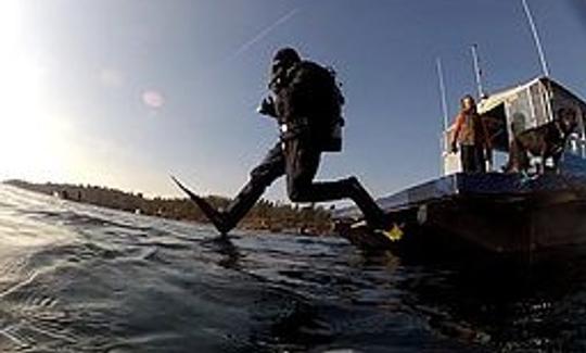 Excursions de plongée en ponton de 42 minutes à Brockville, Canada