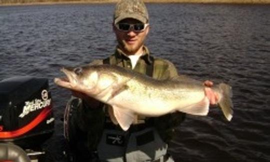 Paseos de pesca de lubina en Brainerd, Minnesota