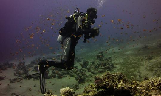 Excursions de plongée de 5 jours à Dahab, Égypte