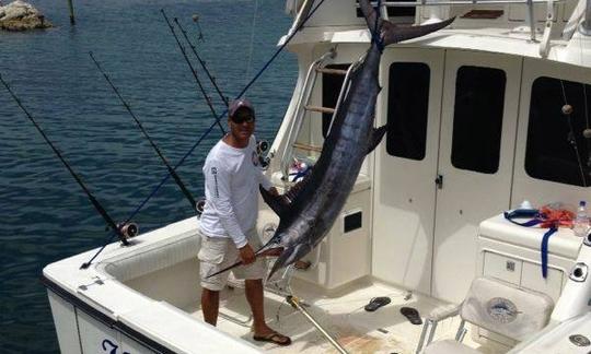 Charte de pêche Cofresi sur un bateau de 34 pieds ou un bateau de 50 pieds