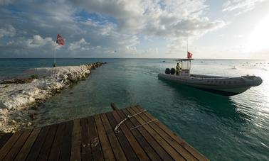 Buceo en Rangiroa