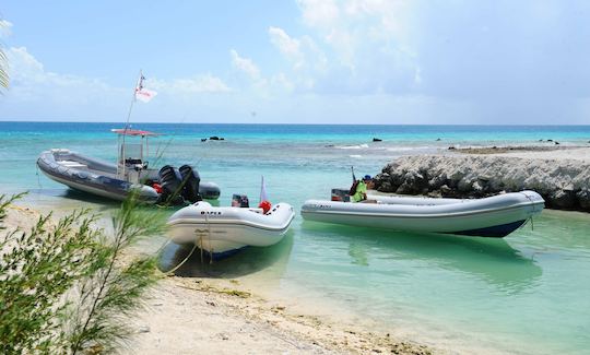 Diving in Rangiroa