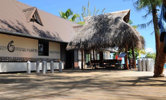 Diving in Rangiroa