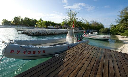 Diving in Rangiroa