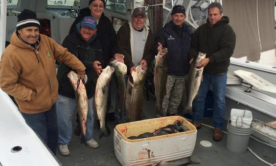 Cartas de pesca esportiva Gone Fishin' - Cape May