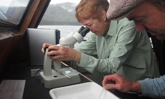 Visite de 63 minutes de la vie sauvage à Sitka, en Alaska