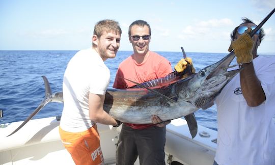 33' Sport Fishing Charter In Deshaies