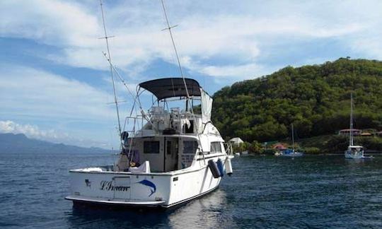 33' Sport Fishing Charter In Deshaies