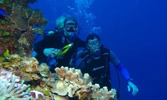 Excursión de buceo en Guadalupe