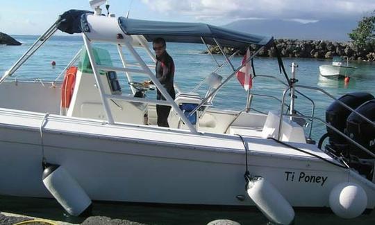 Excursión de buceo en Guadalupe