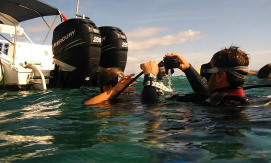 Excursión de buceo en Guadalupe