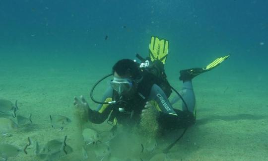 Scuba Diving In Lloret de Mar