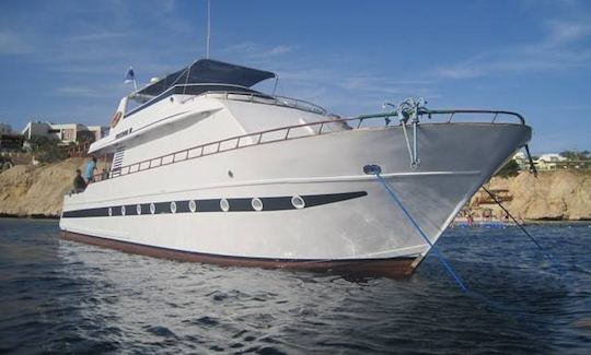 Freedom VIII Liveaboard & Daily & Private Trips in Sharm el Sheikh