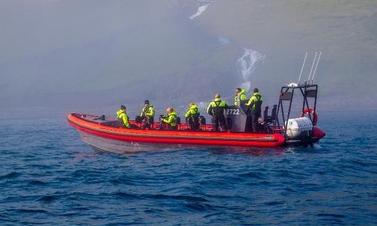 Excursion d'observation des baleines à Húsavík