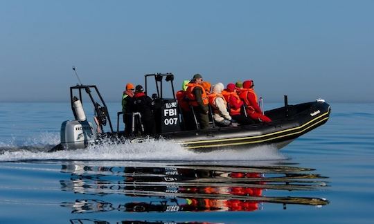 (8 Pax) RIB in Rohuneeme and Tallinn Bay