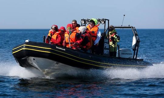 (8 Pax) RIB in Rohuneeme and Tallinn Bay