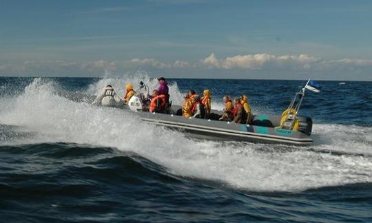 RIB (12 personnes) à Rohuneeme et dans la baie de Tallinn