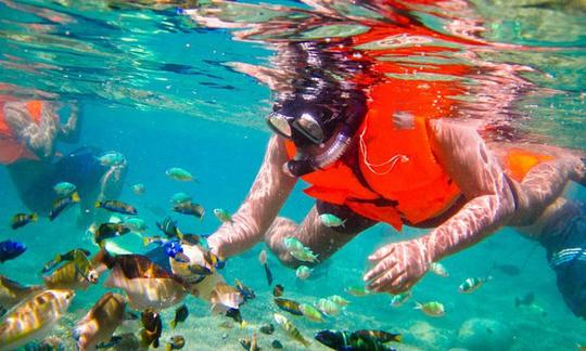 Passeios de safári com snorkel em Vasilikis