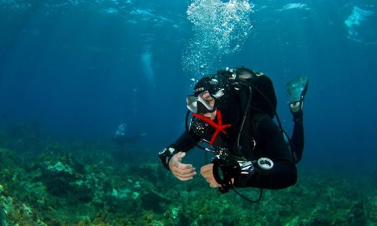 PADI Scuba Diving & Specialties Courses in Vasilikis