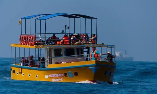 Passeio de barco para observação de baleias para 70 pessoas em Mirissa