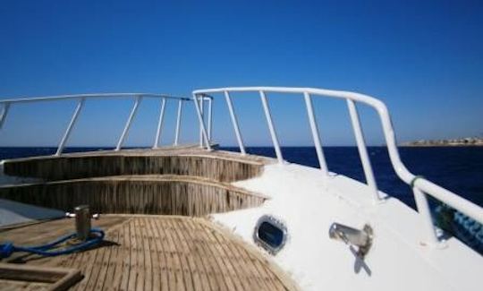 VIP One Liveaboard Diving Trips in Sinai