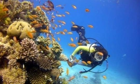 Viajes de buceo en el Mar Muerto