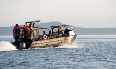 Excursões “The Blackfish Express” de 38 anos em Eastsound, Washington