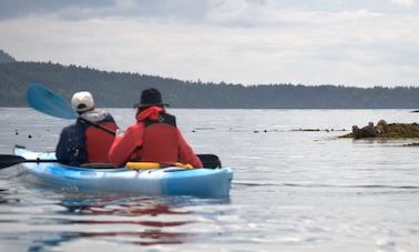 Excursion de 3 heures en kayak à Point Doughty sur l'île d'Orcas à Eastsound, dans l'État de Washington