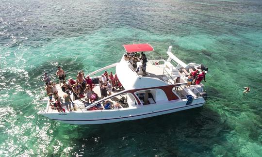 Private Catamaran Charter In Punta Cana, Dominican Republic