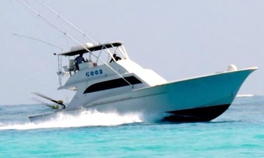 Fishing Charter On 48ft 'Reel Adiction' Yacht In Somerset Village, Bermuda