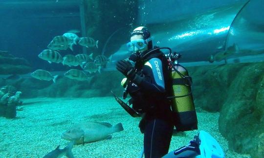 Mergulhando com tubarões em Roquetas de Mar, Espanha