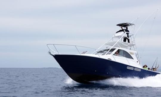 Reserve nuestro barco de pesca Sport Fisherman de 45 pies desde la isla Denarau, Fiji