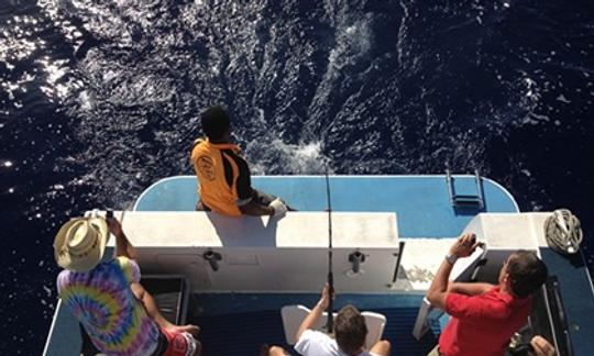 Passeios de pesca em barco de 28 pés na Ilha Denarau, Fiji