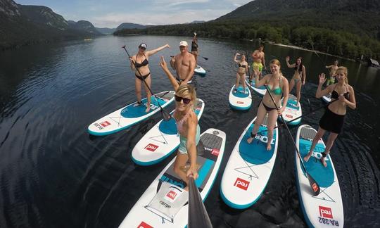 Excursão de stand-up paddle boarding em Liubliana