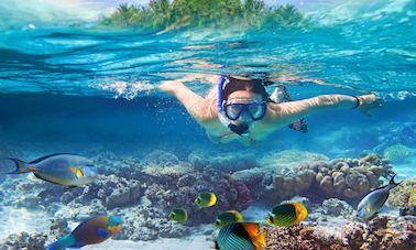 Book this Exciting Snorkeling Tour in Kuta, Indonesia