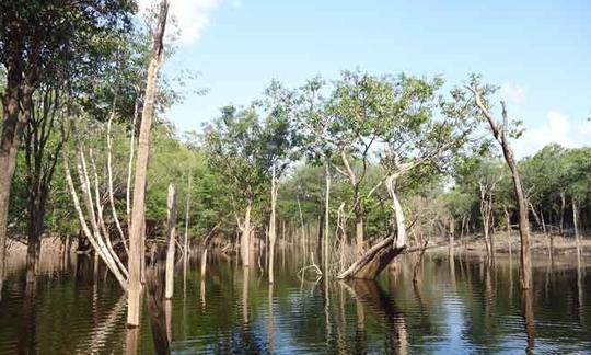 Bowrider fishing charter in Manaus