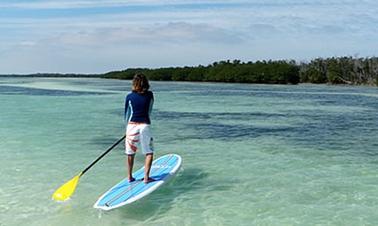 Paddleboard Lessons in Tambon Hua Hin