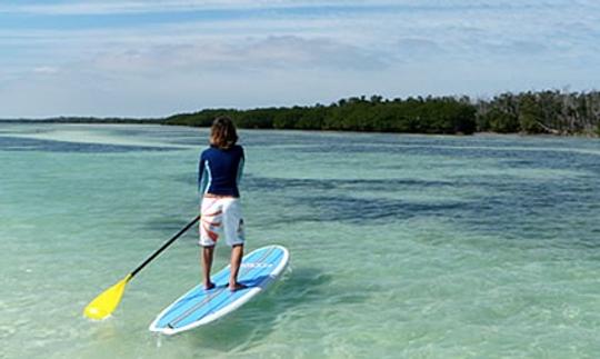 Aulas de paddleboard em Tambon Hua Hin